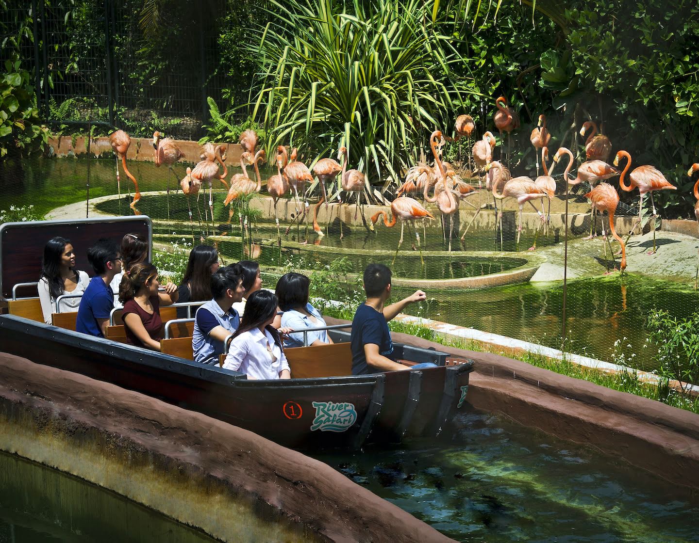 Trải nghiệm River Safari duy nhất tại Châu Á